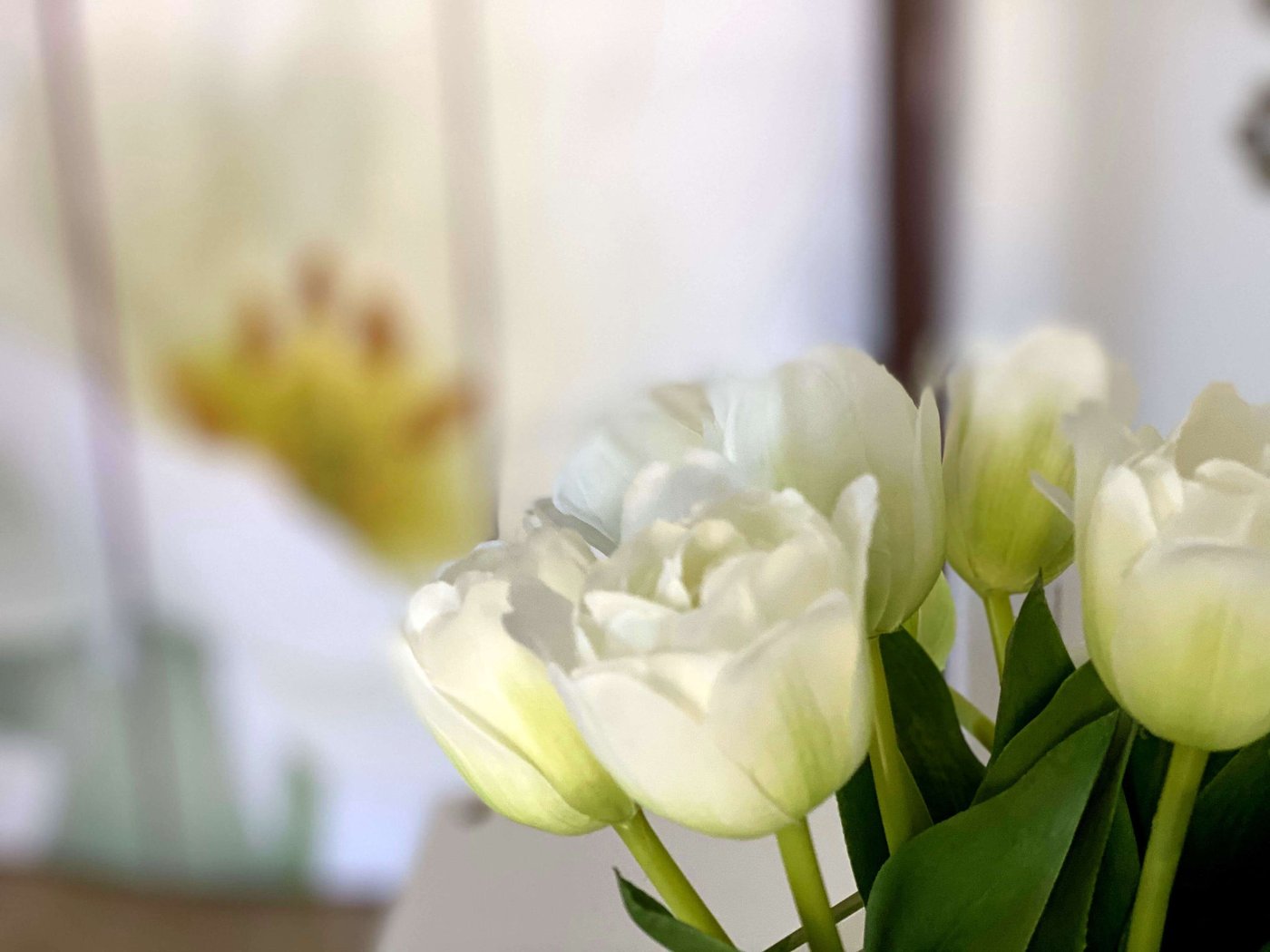 Tulpenstrauß in der Praxis